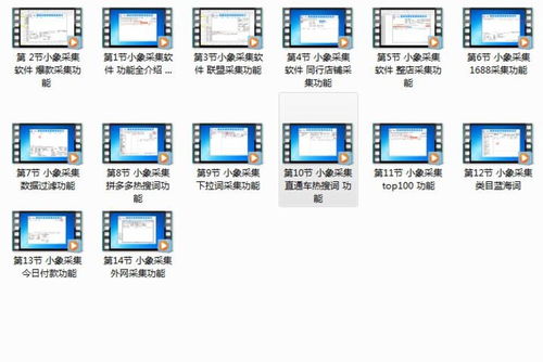 小象搬家與上貨代購軟件 賦能拼多多無貨源店群項目的技術(shù)利器與招商機遇